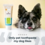 Oxyfresh зубной гель для домашних животных 113 г — изображение 2