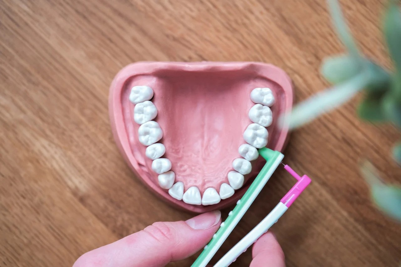 Wingbrush hambavaheharjade komplekt - Image 3