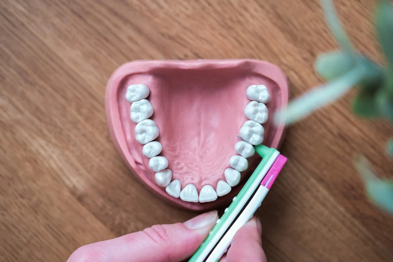 Wingbrush hambavaheharjade komplekt - Image 4